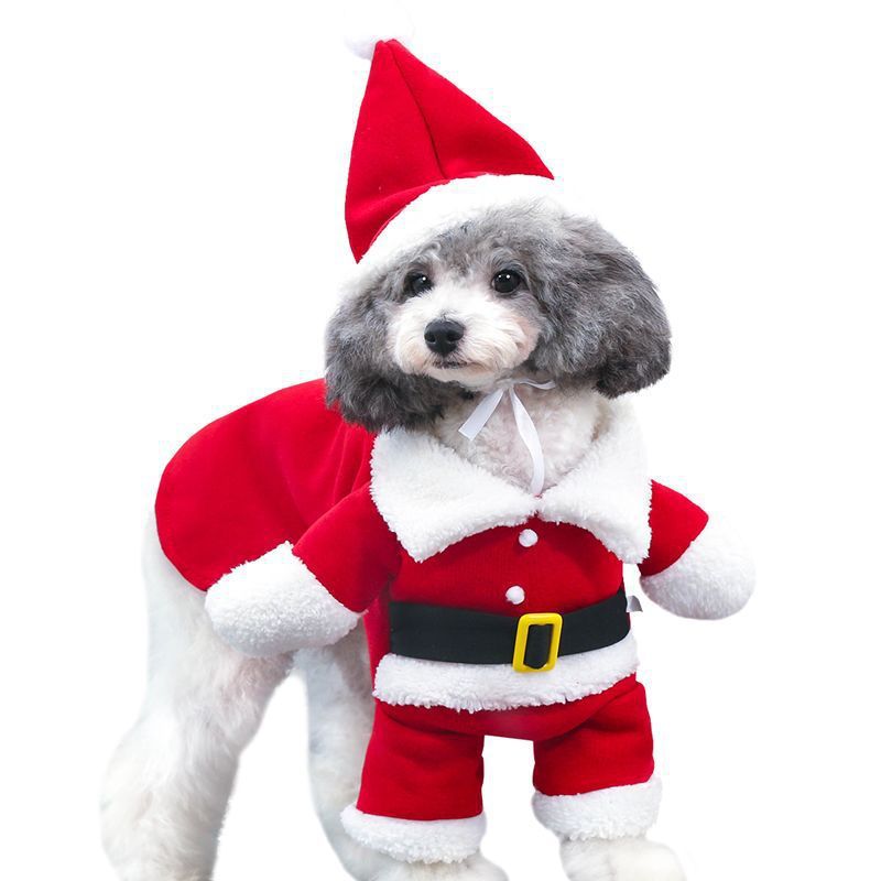 Pet as Standing Santa Christmas Costume